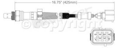 2003-2005&nbsp;Honda Accord Oxygen Sensor, Rear