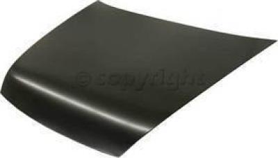 2005-2007&nbsp;Honda Accord Hood