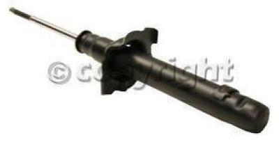 1998-1999&nbsp;Honda Accord Shock Absorber, Front, Driver Or Passenger Side