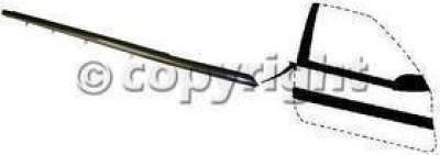 1994-1997&nbsp;Honda Accord Door Seal, Front, Passenger Side