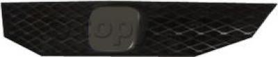 2008-2009&nbsp;Honda Accord Grille