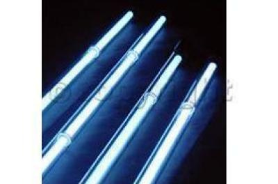 &nbsp;Pontiac Grand Prix Underbody Light Kit