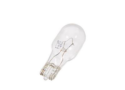 &nbsp;Plymouth Horizon Bulb