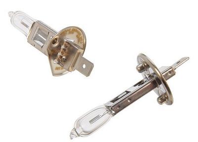 &nbsp;Plymouth Horizon Bulb