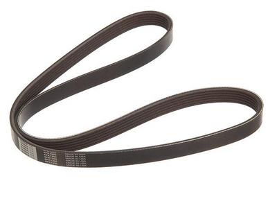 1990-1991&nbsp;Nissan Axxess Multi Rib Belt