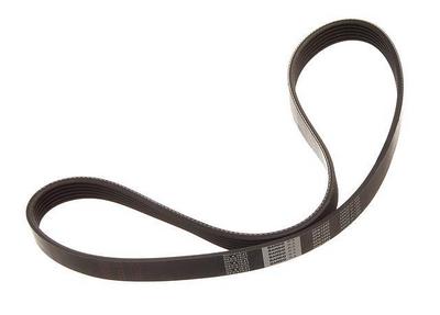 1990-1993&nbsp;Isuzu Stylus 4Dr Sedan Multi Rib Belt