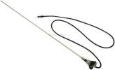 1953&nbsp;Aston Martin&nbsp;DB2&nbsp;Antenna