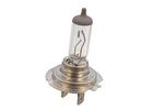 Bulb - Headlight