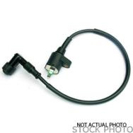 1987&nbsp;Pontiac&nbsp;6000&nbsp;Ignition Coil
